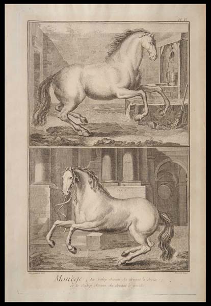 stampa antica galop desuni devant