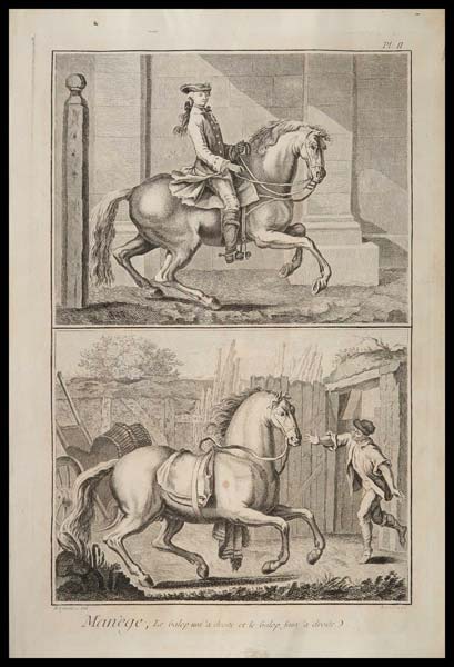 stampa antica manège galop droite