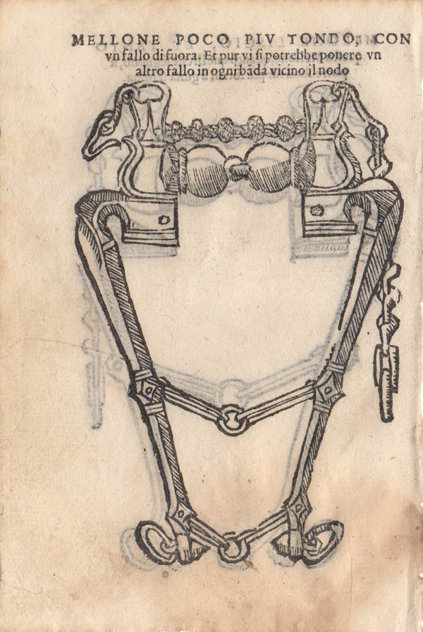 stampa antica finimenti
