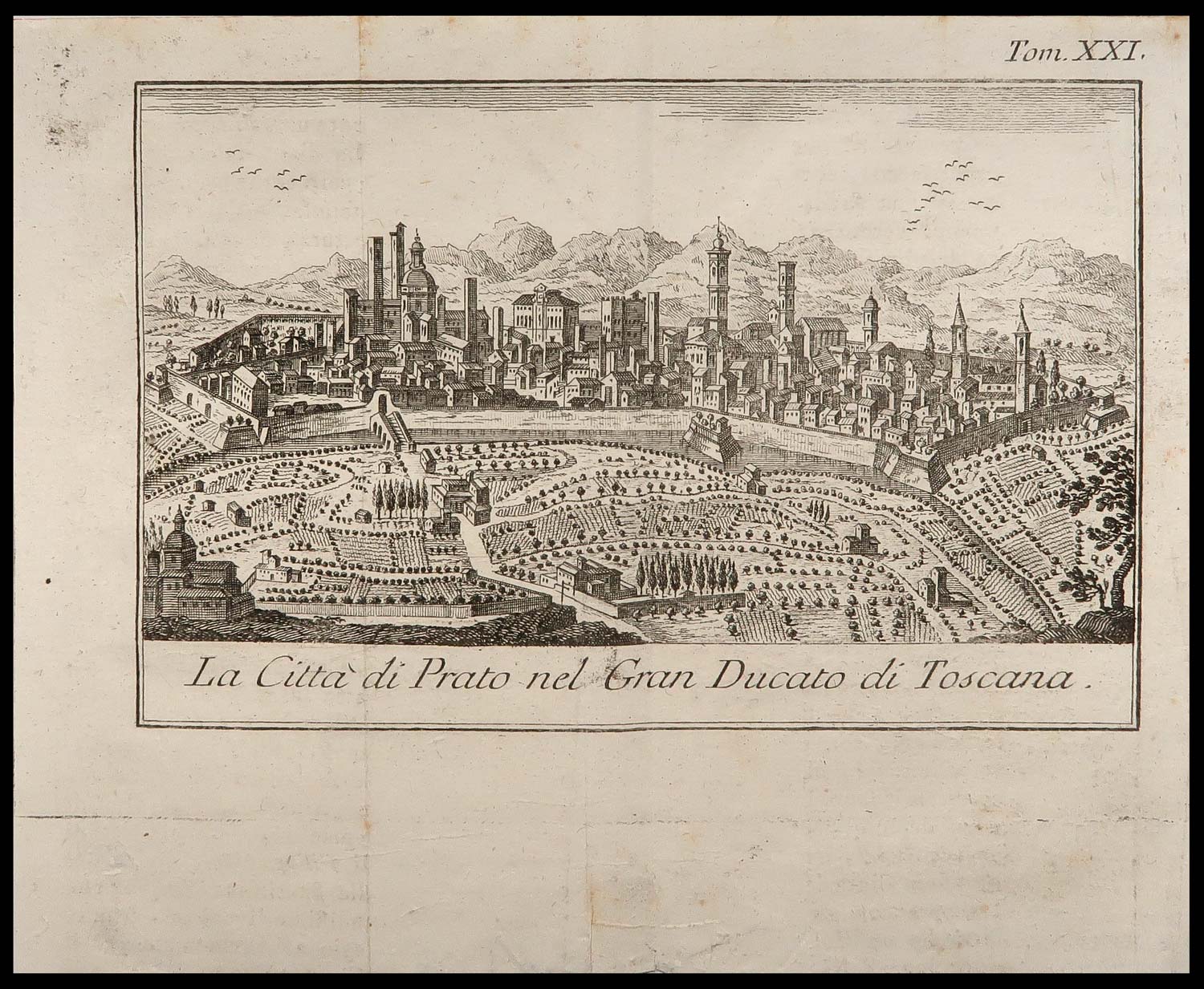 stampa antica città prato albrizzi