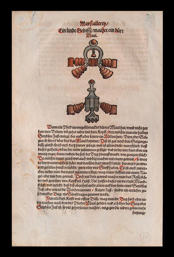 stampa antica briglie cavalli