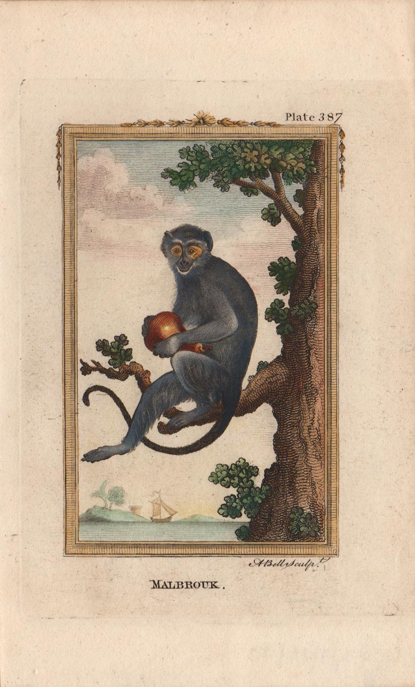 stampa antica malbrouk