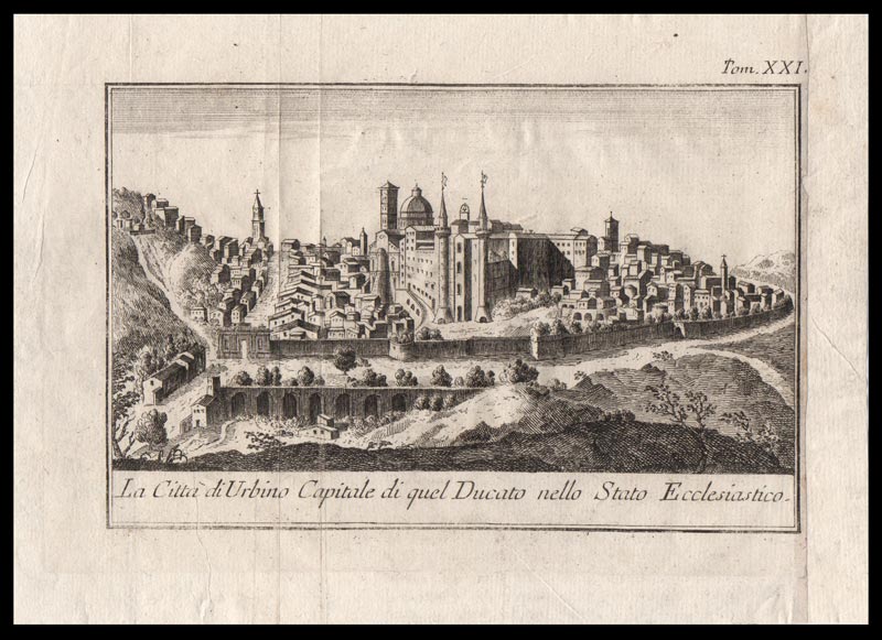 stampa antica urbino salmon
